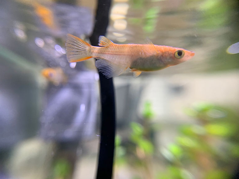 仙台心理カウンセリングルーム